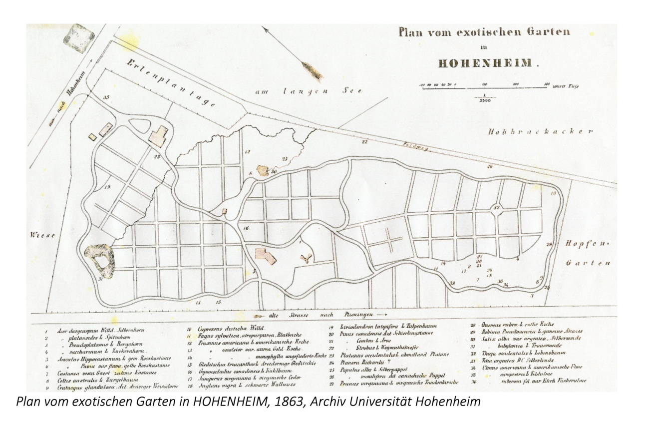 Plan von Exotischen Garten in Hohenheim von 1863