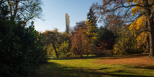 Exotischer Garten