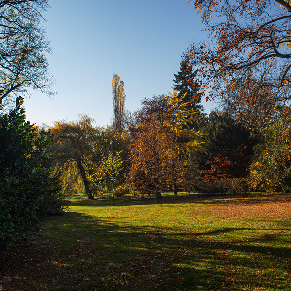 Exotischer Garten