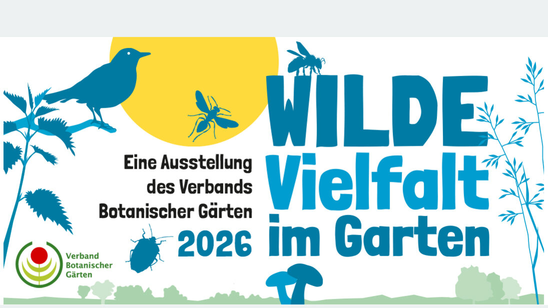 Banner - Wilde Vielfalt im Garten